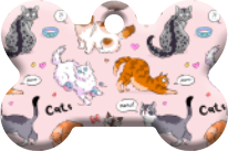Gatos_62